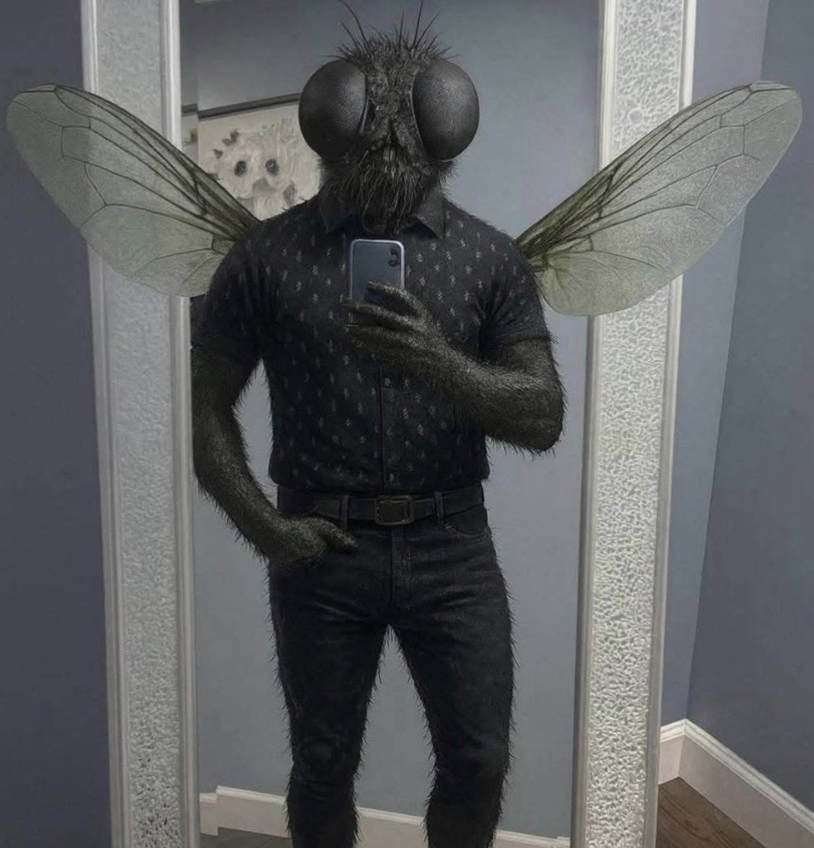 Algún therian q se identifique como mosca para ir y rag4r mi3r *d4