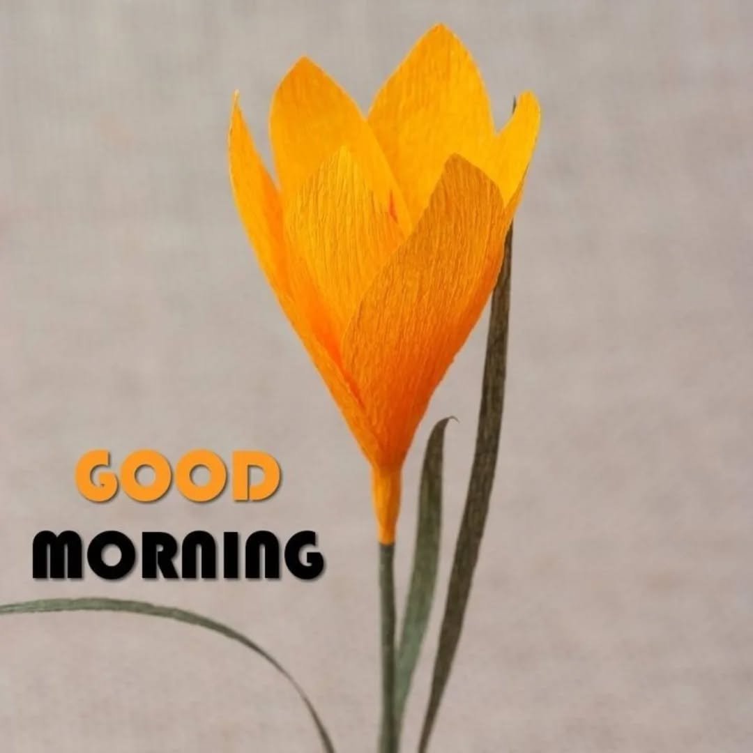 JournoShukla's tweet photo. #VeryGoodMorning https://t.co/pInlIKz82J