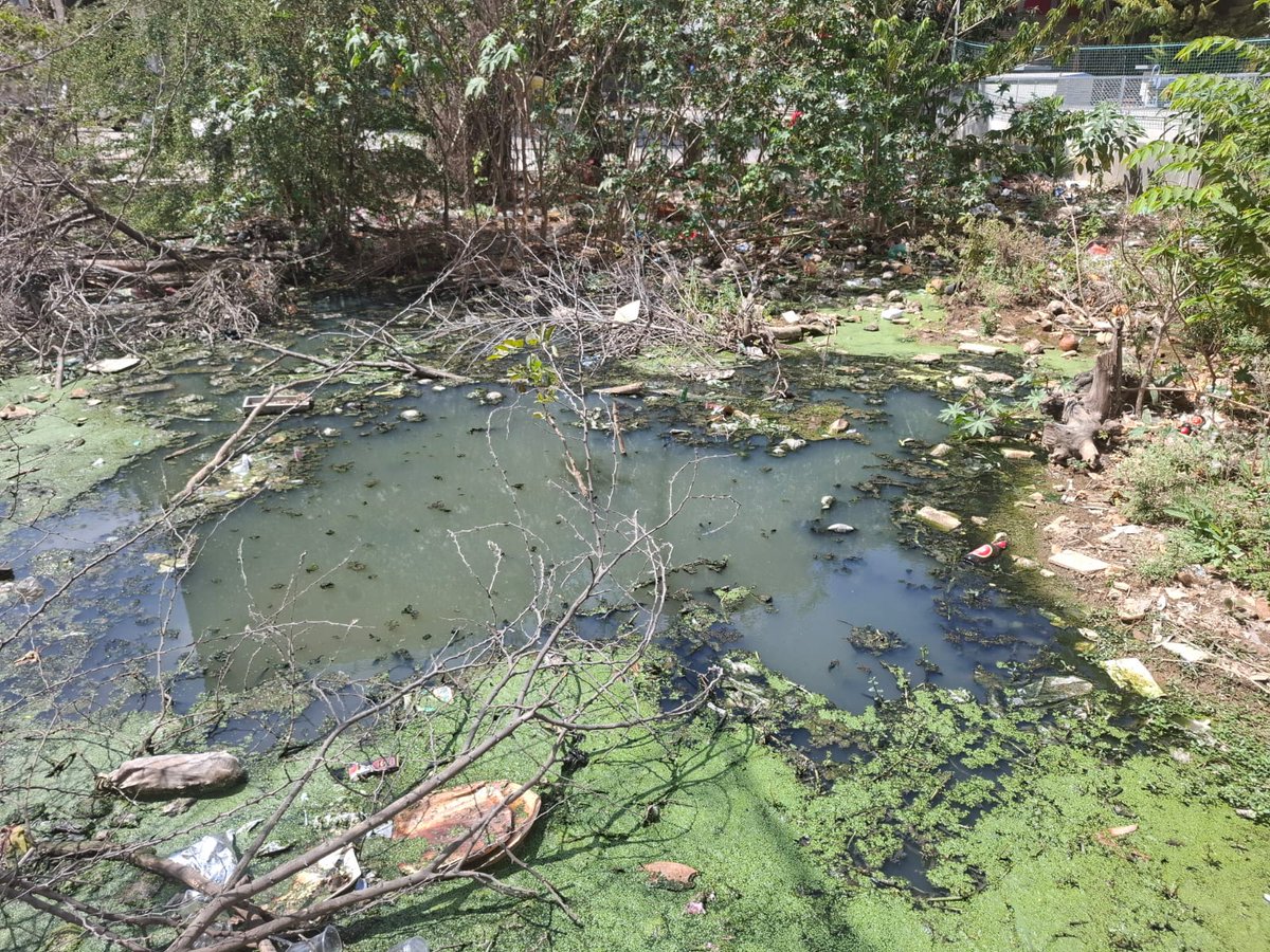 SaveBellandur(ಬೆಳ್ಳಂದೂರು ಉಳಿಸಿ) tweet media