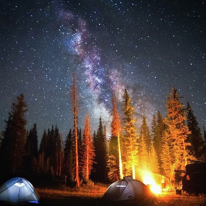 HeadHR_Deepak's tweet photo. #Storytelling #Jokeoftheweek #Motivational #OneMinuteRead
The 'webakoof series' from 'university of what's app'
An uneducated father & highly educated son went for a camping trip. They set up the tent & slept. Some hrs later, the father woke up the son.
1/2 https://t.co/lT6NVRLkkO