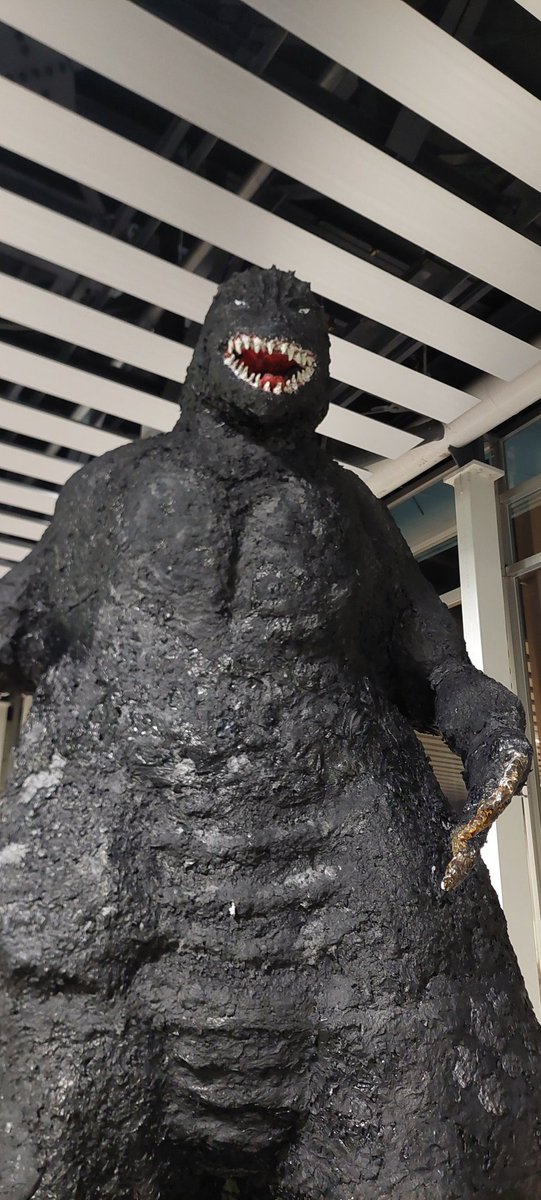 Luke Summerhayes, Friend of Bears tweet media