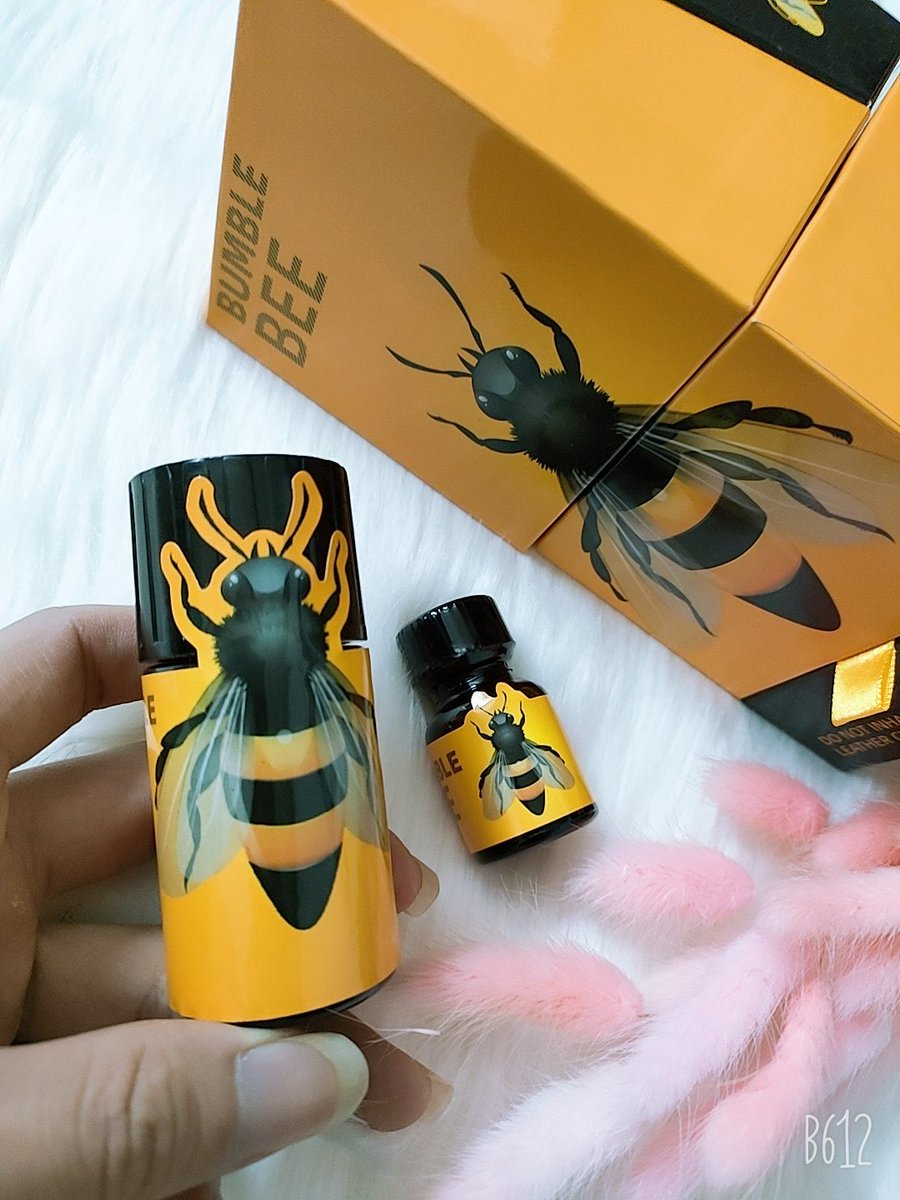 badboy popper ✳️ tweet media