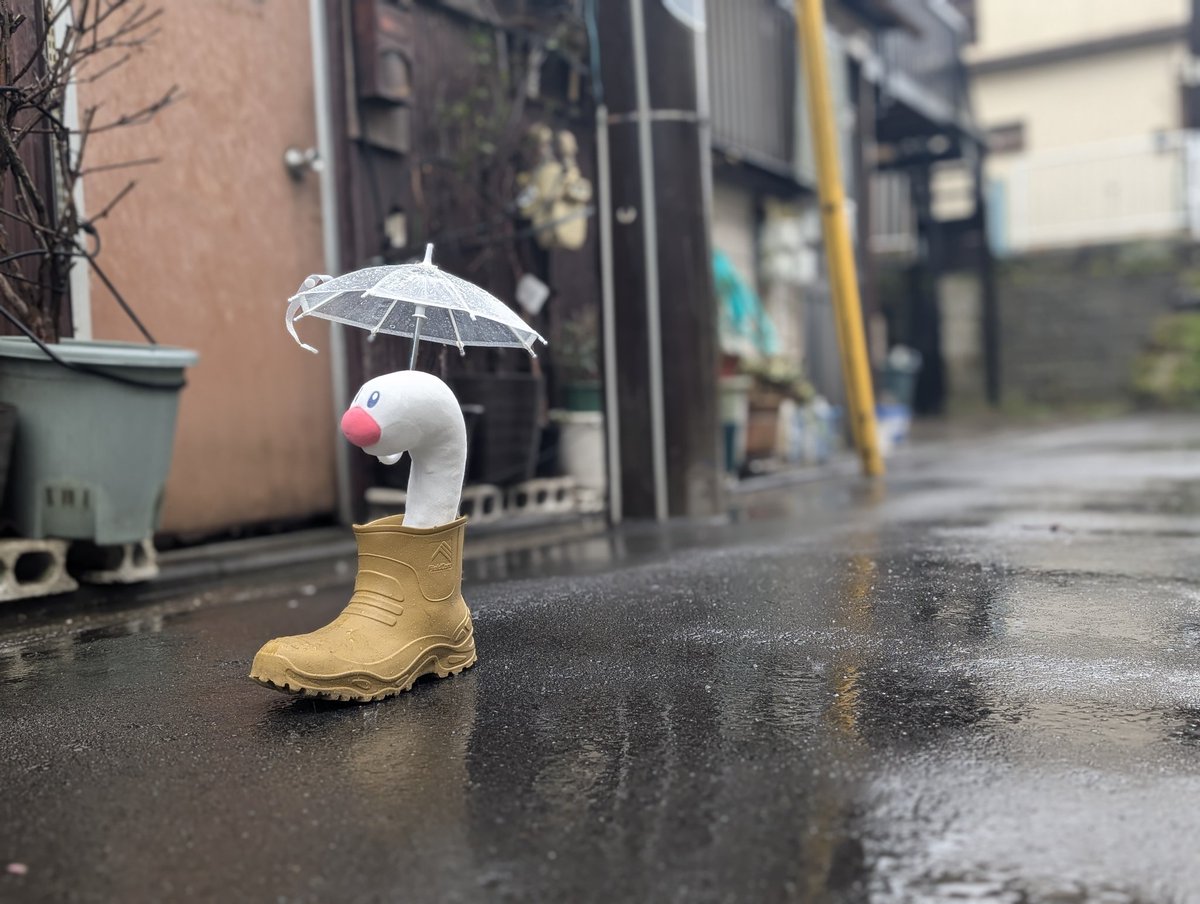 雨ですね。
＃ポケぬい
＃ポケモンのいる生活