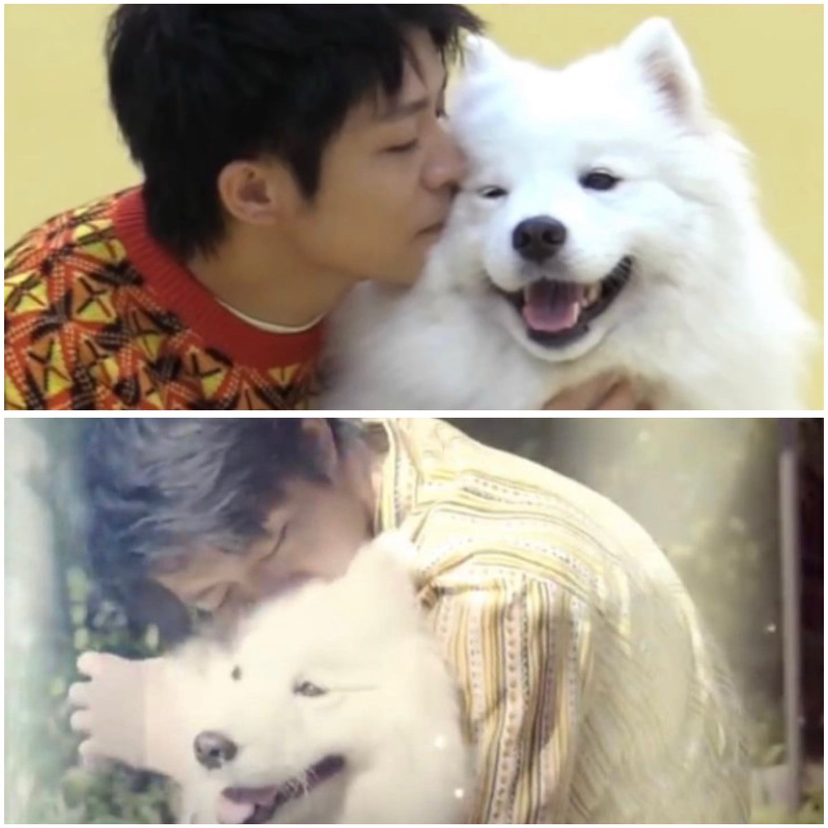 レモンちゃん 岸くんのこと覚えてるかなぁ？ 7才おめでとう🎉