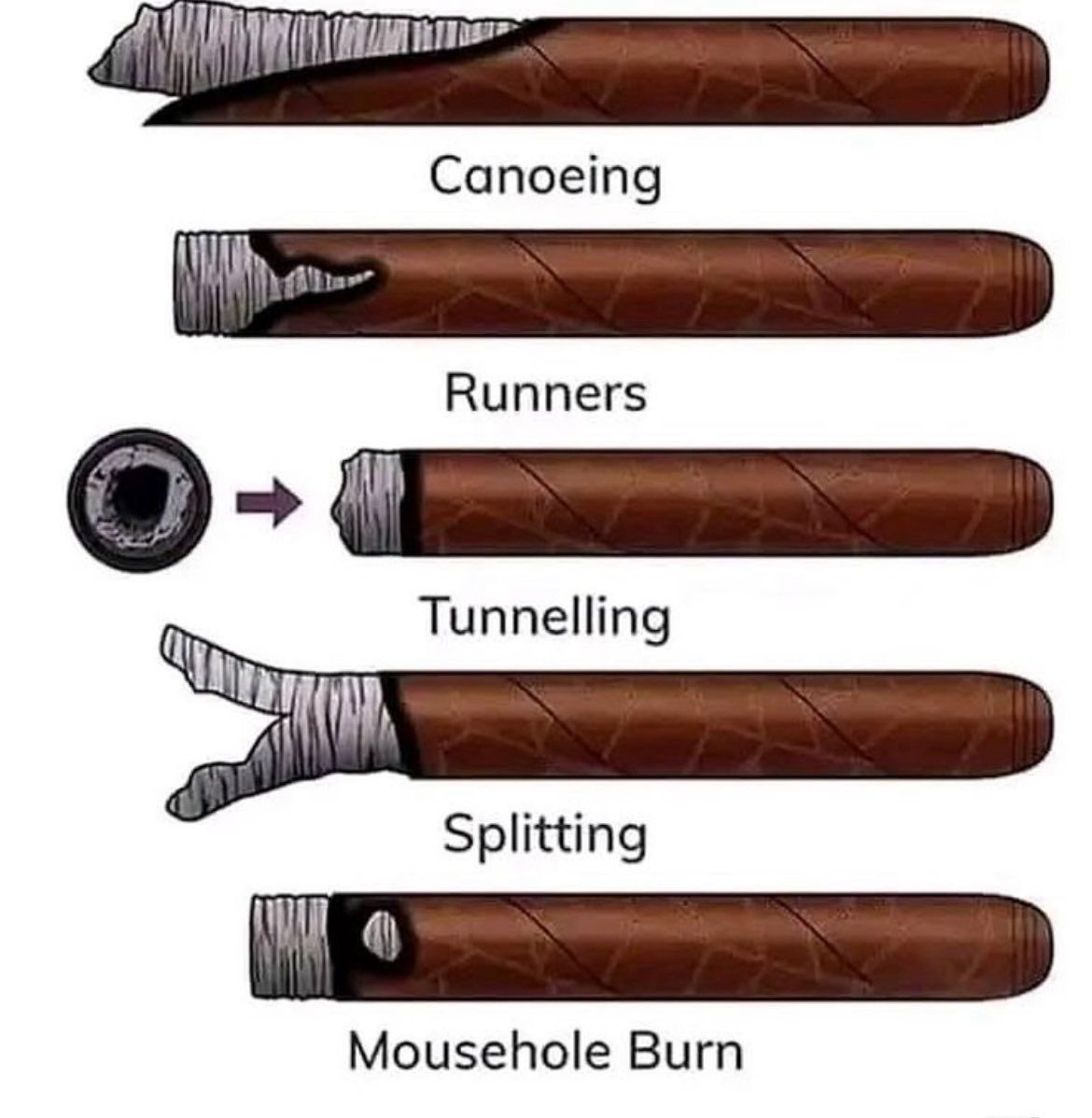 ( ´ཀ` ) (@drankqula) on Twitter photo 