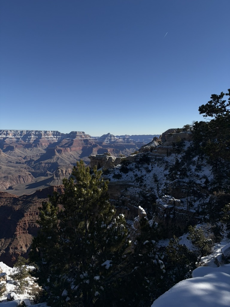 Andrew 🌿 tweet media