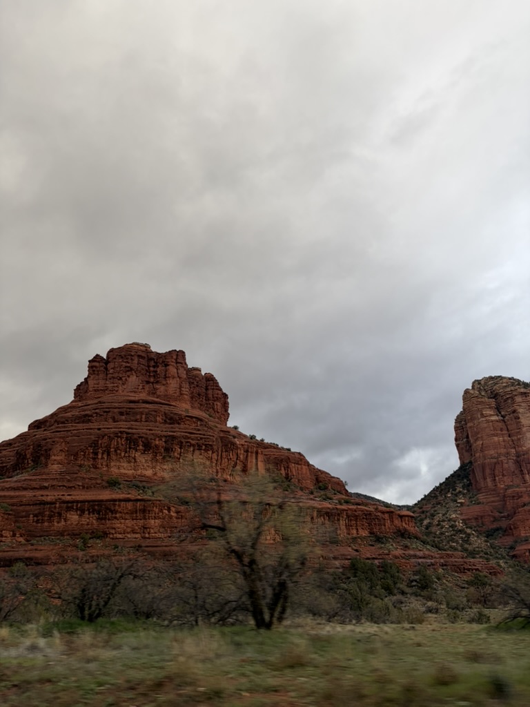 Andrew 🌿 tweet media