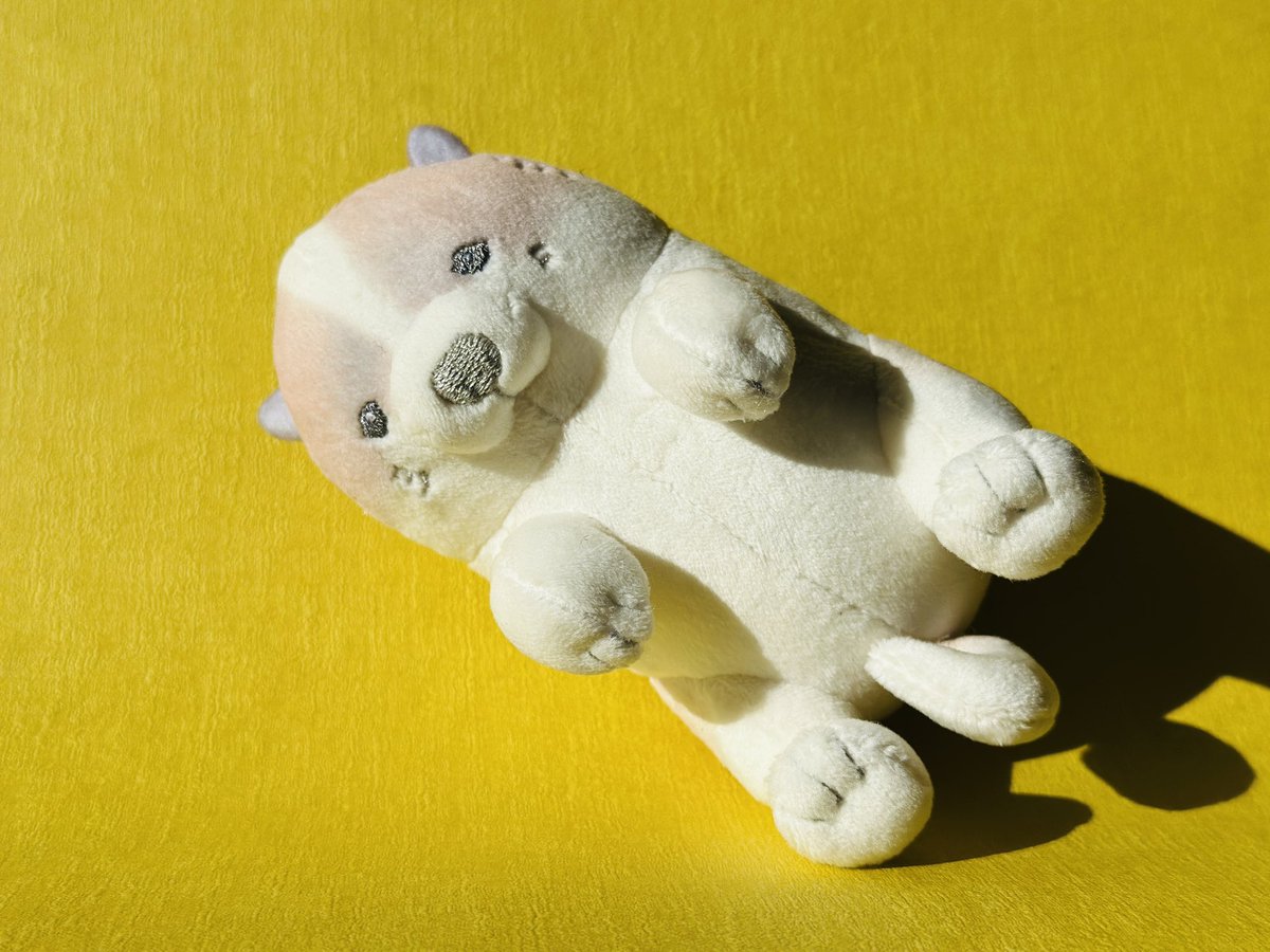 3匹の蘆雪犬ぬい、どの子もめちゃくちゃかわいいです！この子は、へそ