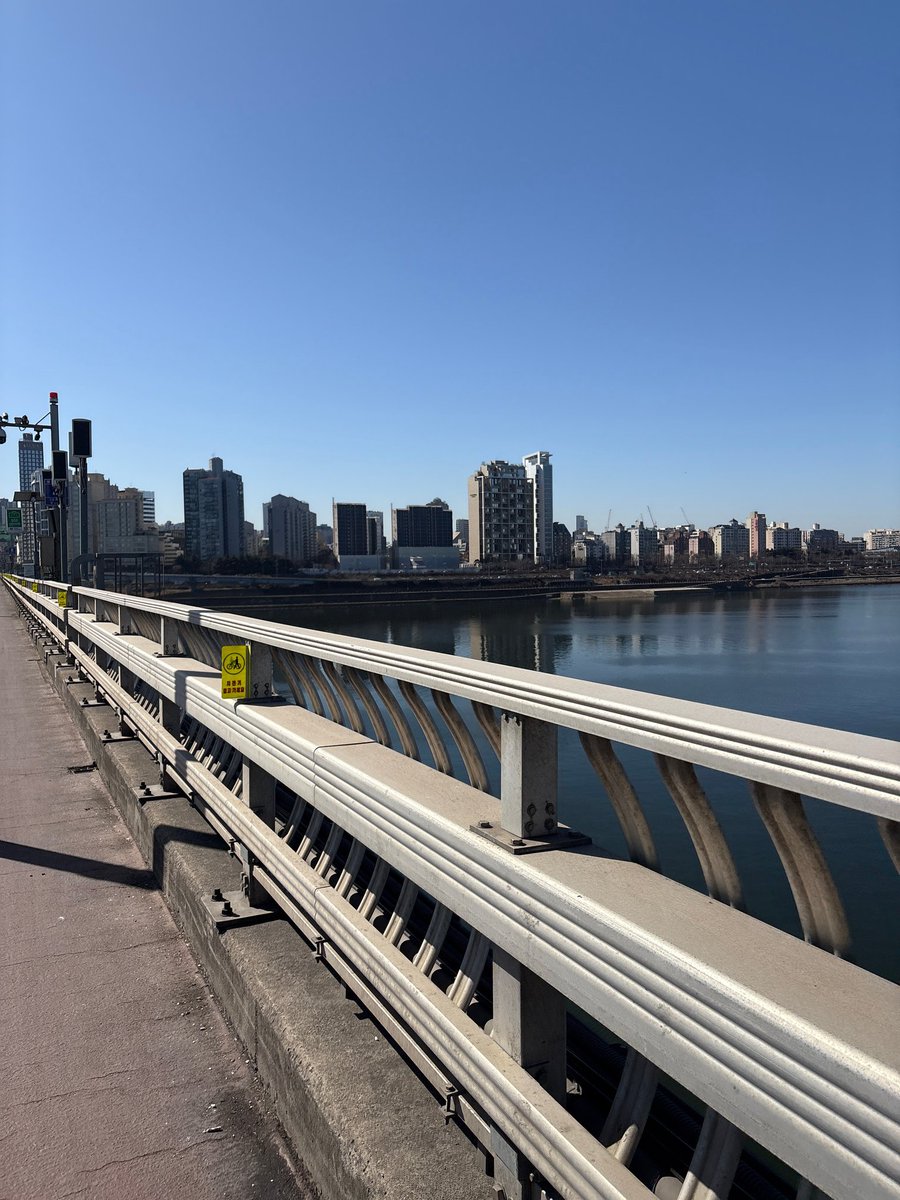 대리버블 tweet media