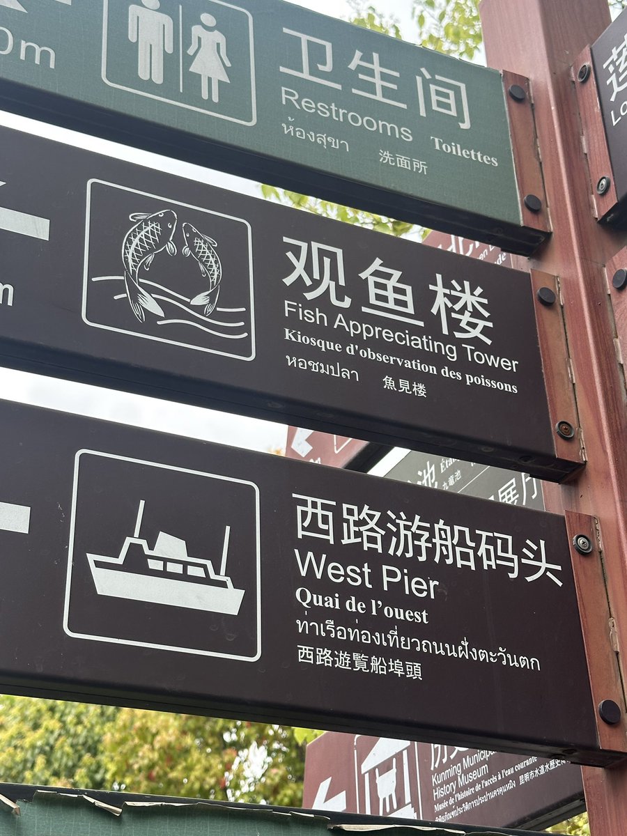 Albert Jaragua Corado 🔻 tweet media