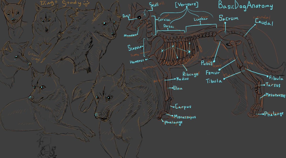 Ran0ver (Cyrus) tweet media