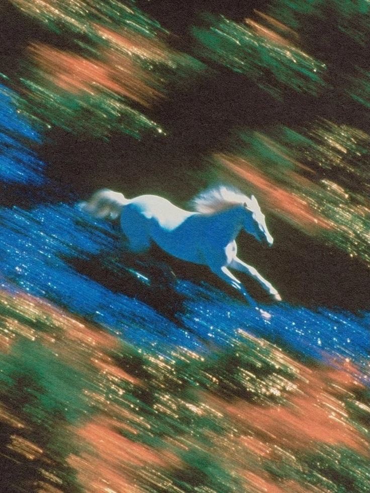 The Year of the Fire Horse is with you now.
Power at your side.
Fire in your chest.
You were never meant to ride alone.
Let’s go.