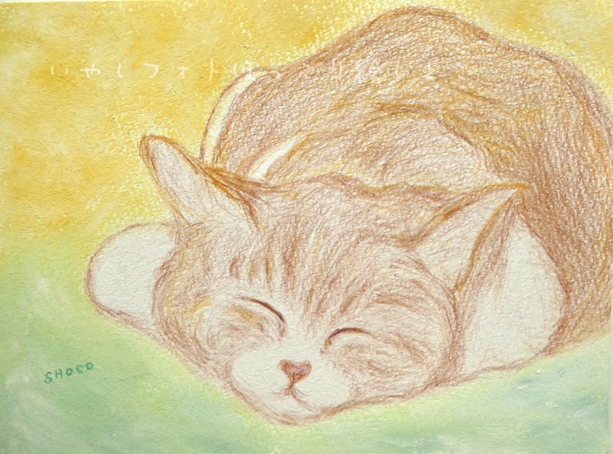 新作ほっこり絵 「 すやすや 」 使用画材:色鉛筆 パステル(背景) 春の