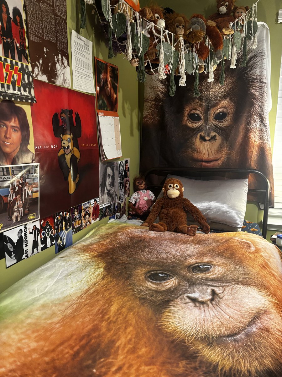 Orangutandrea tweet media