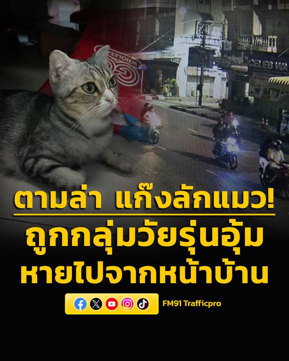 ตามล่าแก๊งลักแมว! หลังเจ้าของตามหา น้องดอลล่า แมวสายพันธุ์สกอตติชโฟลด์ ถูกบุกอุ้มหายไปจากหน้าบ้านกลางดึก ตอนนี้ยังไม่รู้ชะตากรรม #ตามล่า #แก๊งลักแมว #น้องดอลล่า #ถูกอุ้มหาย #FM91 

อ่านข่าวต่อ fm91bkk.com/newsarticle/67…