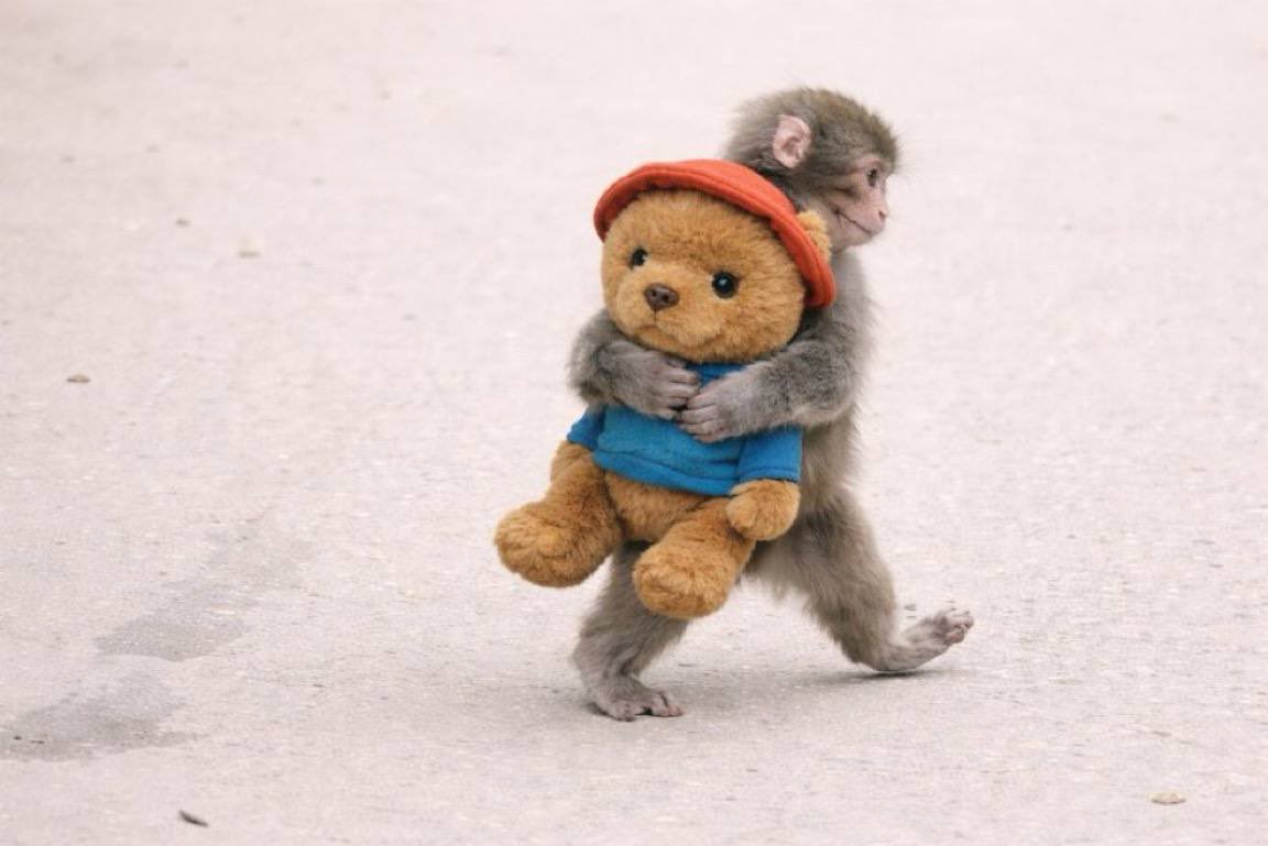 Shaiz0816's tweet photo. When a project keeps building quietly,
pay attention.
Ecosystem strengthening.
Community growing.
Products moving from idea → reality.
Strong foundations create strong moves.
#BERTlieve 🐾
$Bert https://t.co/e508hTOQya