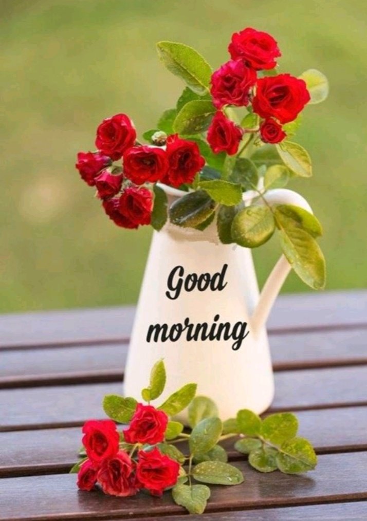 Each morning comes with a new Goal,
A new opportunity to accomplish,
Move with precision.

Good morning Friends. 

Ezra|Blord|Fido|Investment Warning|SOTU #GoodMorningXFriends