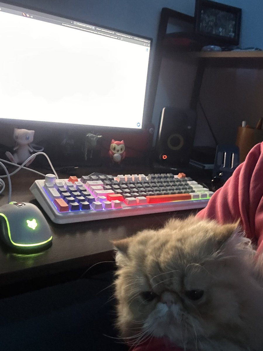 Araujo.eth tweet media