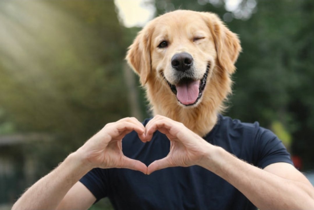 Uncle Kracker tweet media