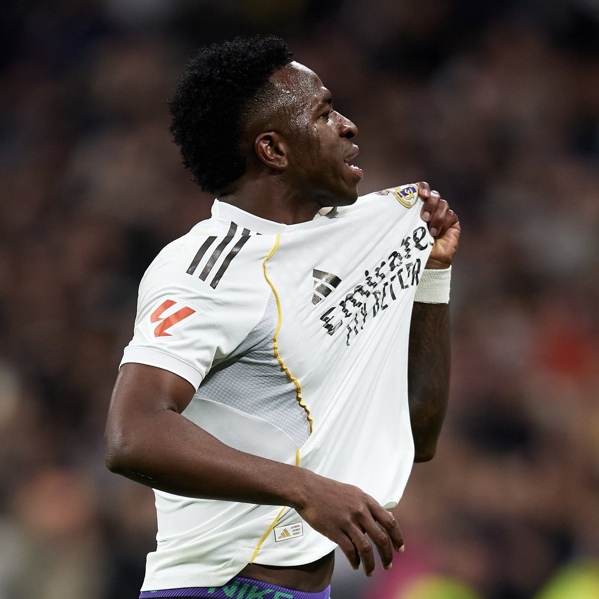 Fabrizius Jr tweet media