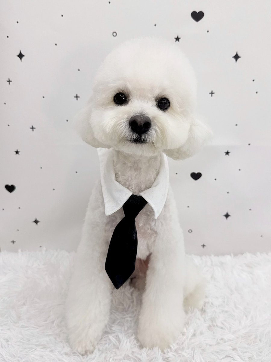 260224
🦖 Badu's recent grooming
🦖 Hahehaheha 
🦖 Pretty, right?
#CIX #씨아이엑스 #BX #BYOUNGGON #병곤 #Fromm