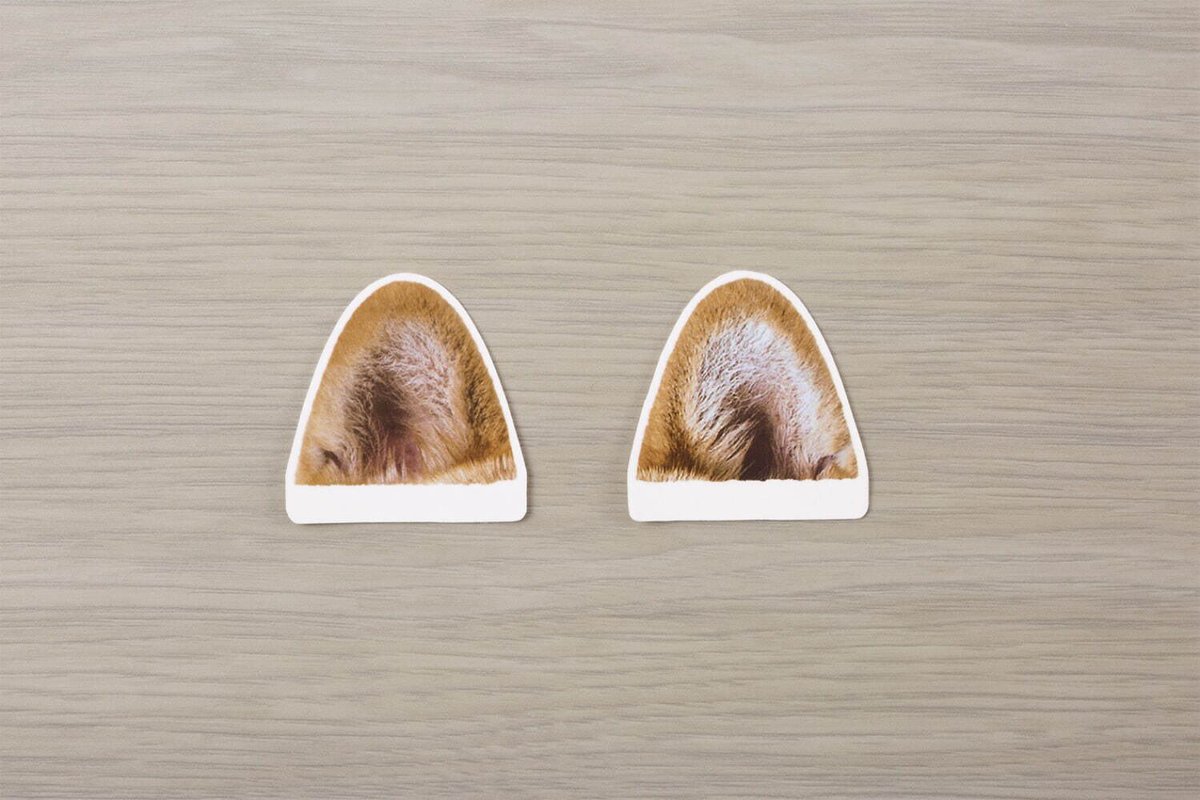 コクヨのキャンパス肉球ソフトリングノート可愛すぎる。耳は付箋だと…