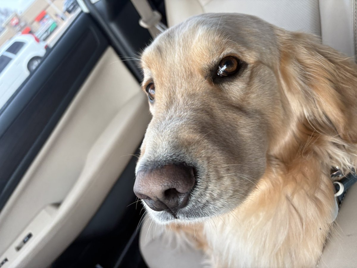 why is this guy back on ow every stream

twitch.tv/awsumlol