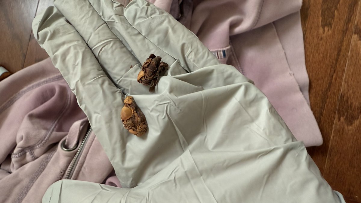 UNIM🅿️RESSED tweet media