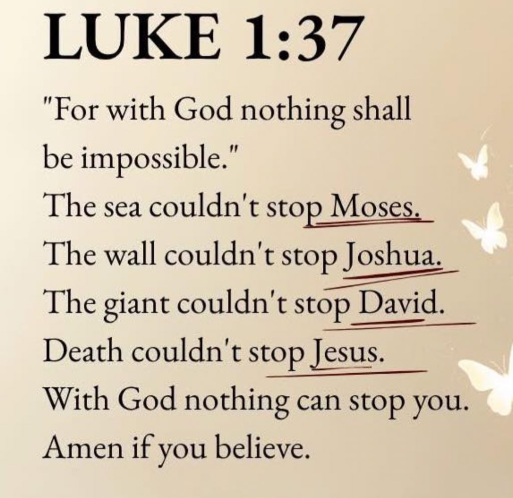 Holy Bible tweet media