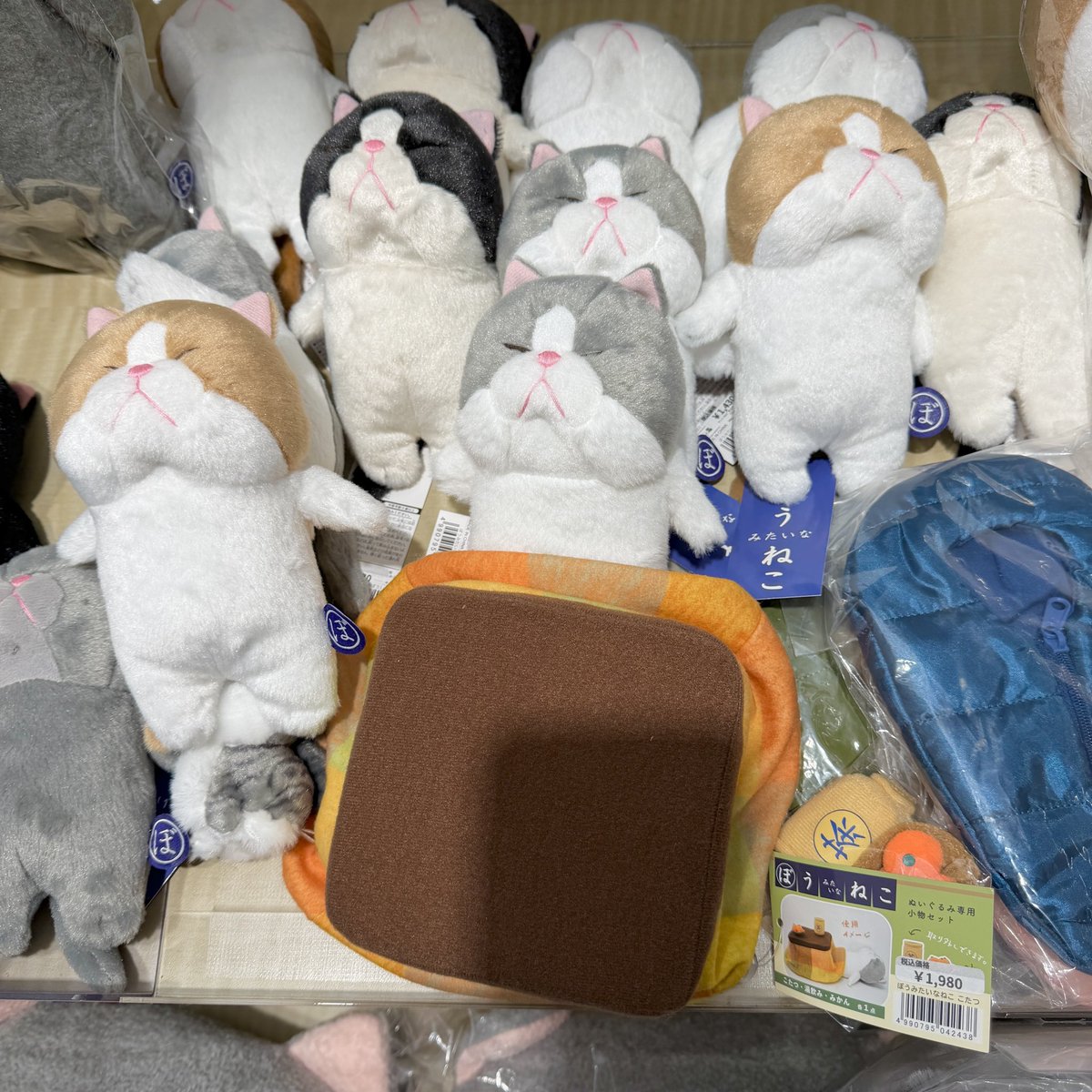 ぼうみたいなねこ」というシリーズみたいです🐱 コタツで寝かせられる