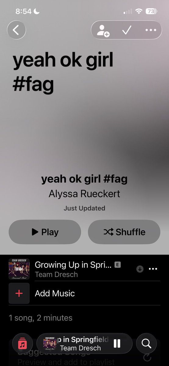 really good at making playlists