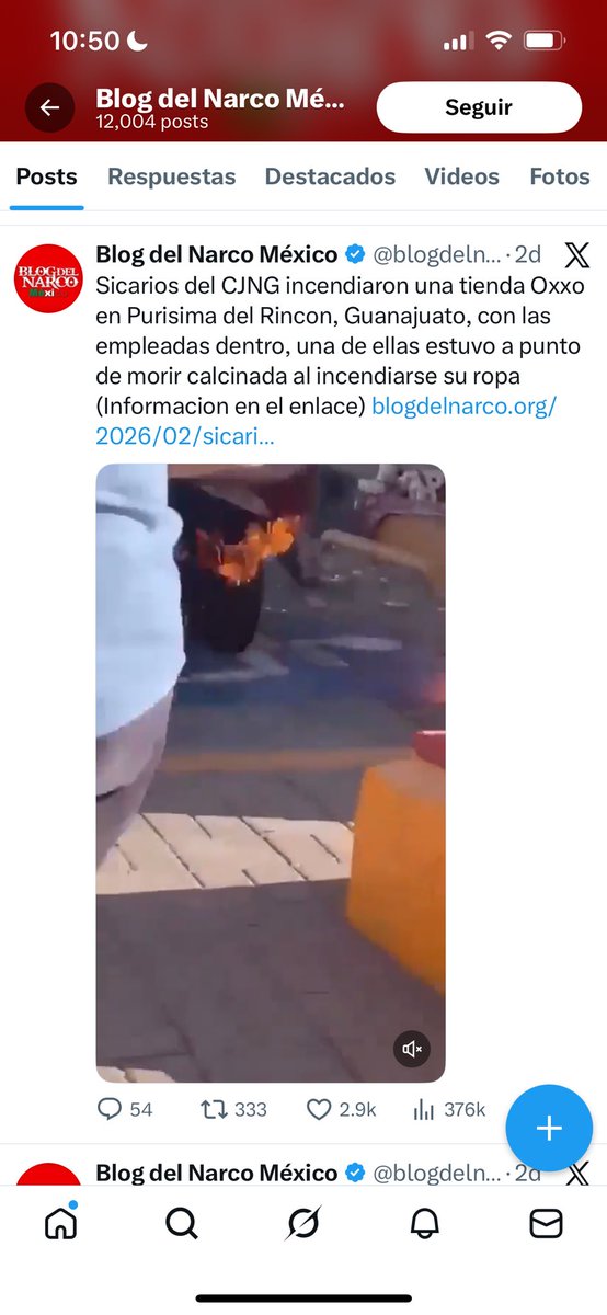 M. Yolanda R tweet media