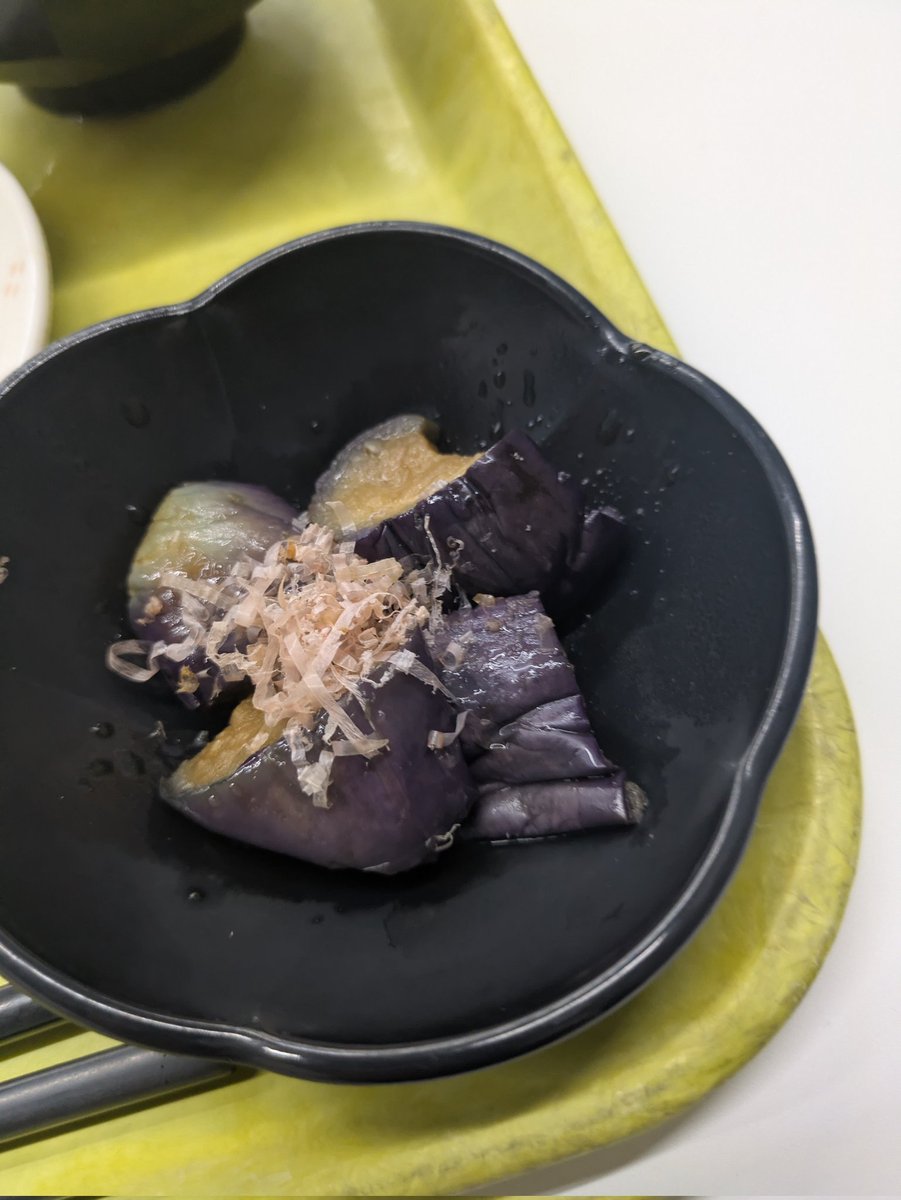 令和8年2月25日(水)一粒万倍日🌾大明日✨️ 投稿が遅れましたが、今日