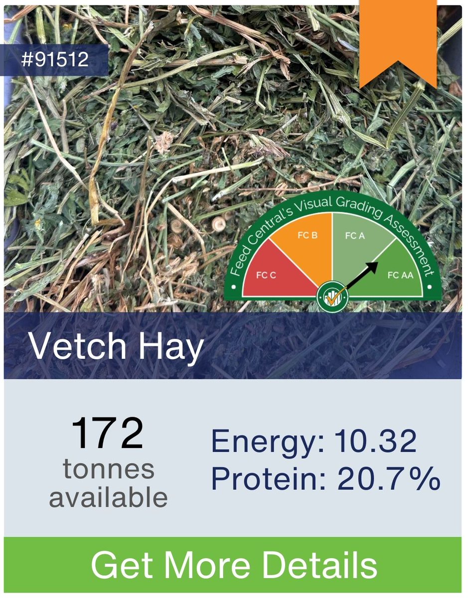 Kev_LocalAg's tweet photo. Rain or no rain, good quality hay will always sell. We see it every season, and lots like the ones we've featured here will sell, no matter what the weather is doing.

If you want the widest choice and the best quality, now is the best time to check out the listings on the LocalAg Marketplace.

https://t.co/BxqE1p80Hg