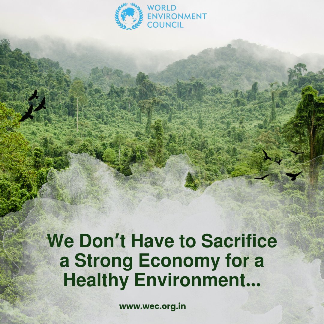 World Environment Council tweet media