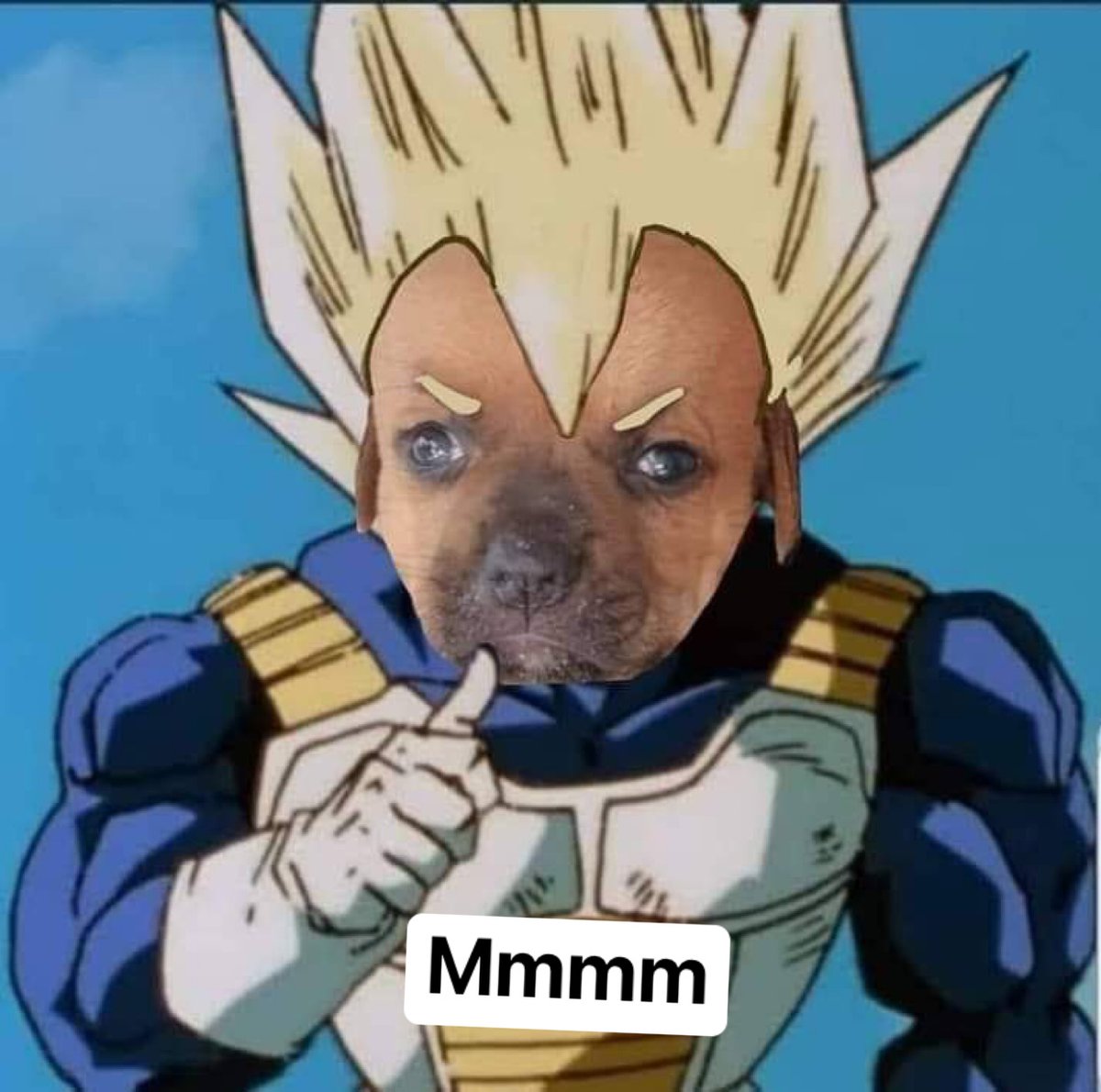 MMS MLTS tweet media