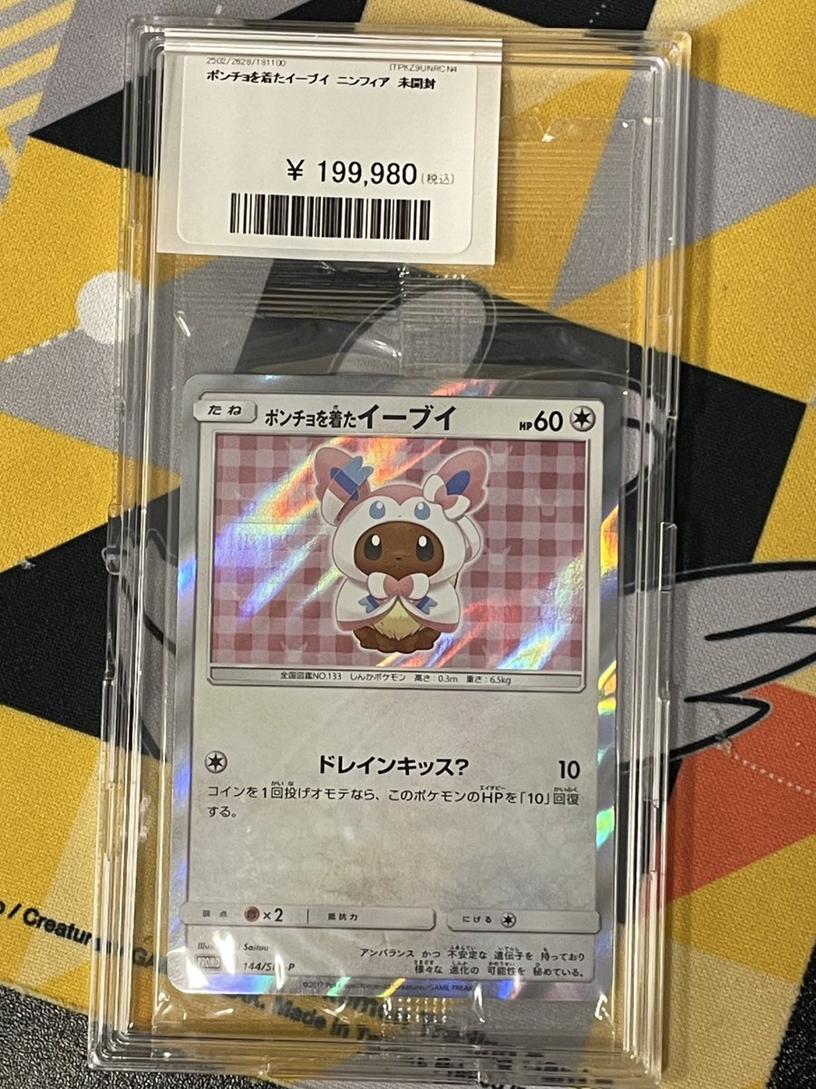 🌟入荷情報🌟 