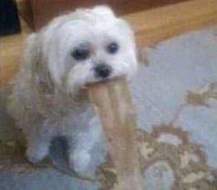 me marie feo jugando la update del ultrakill que wea