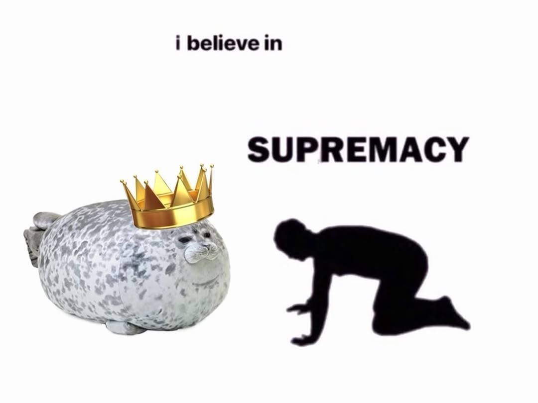 SealDev (@sealdev2) on Twitter photo 