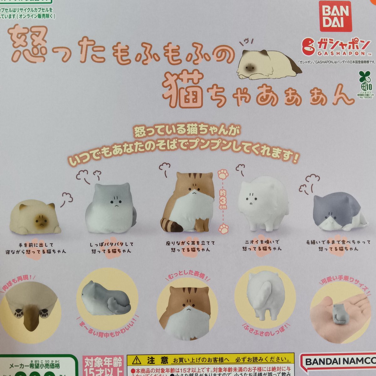 caprak_kameari's tweet image. 2026年2月25日　カプセル楽局亀有店
✨新入荷情報✨

💊けろけろけろっぴバラエティーコレクション
💊お茶犬のぬいぐるみ
💊怒ったもふもふの猫ちゃあぁぁん
💊たかはたまさお 木彫り風 FIGURE COLLECT

#ガチャ #扭蛋機 #capsuletoy #가챠 #亀有 #葛飾区