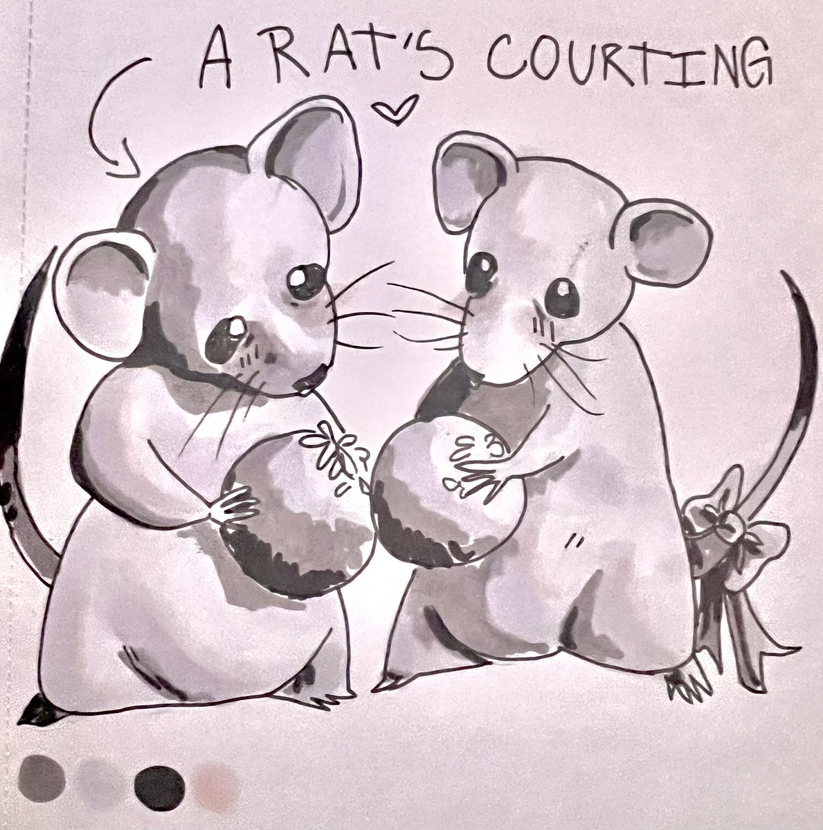 Justpeachy1882's tweet photo. RAT COLLECTION? 

#rats #mice #mouse #smallanimal #animal #animalart #art #artist #sketch #doodle #doodleart #sketchart #artmoots #ArtistOnTwitter #ArtistOnX https://t.co/Y9BuExuAcX