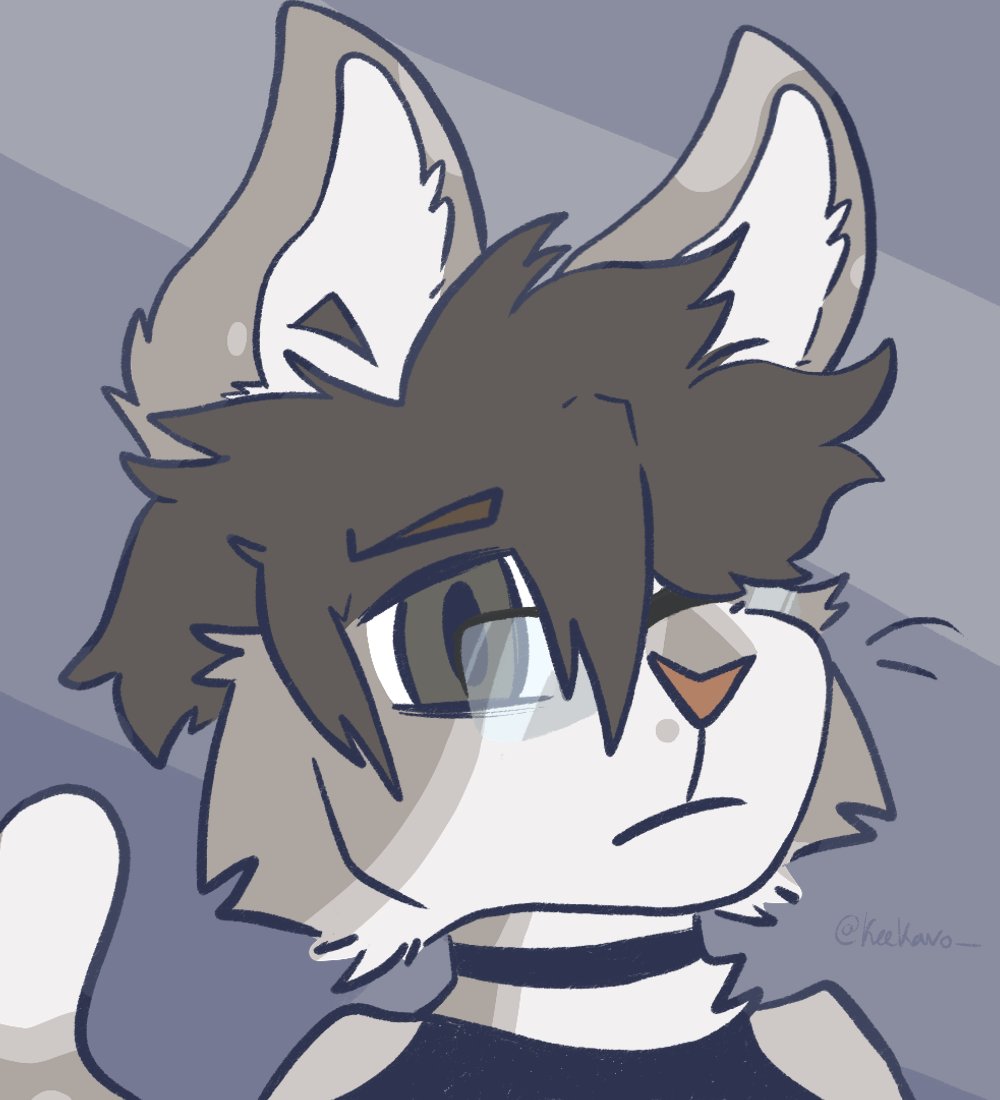 フェリ tweet media