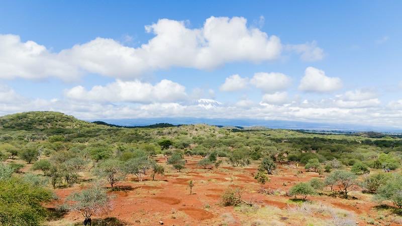 IUCN ESARO tweet media
