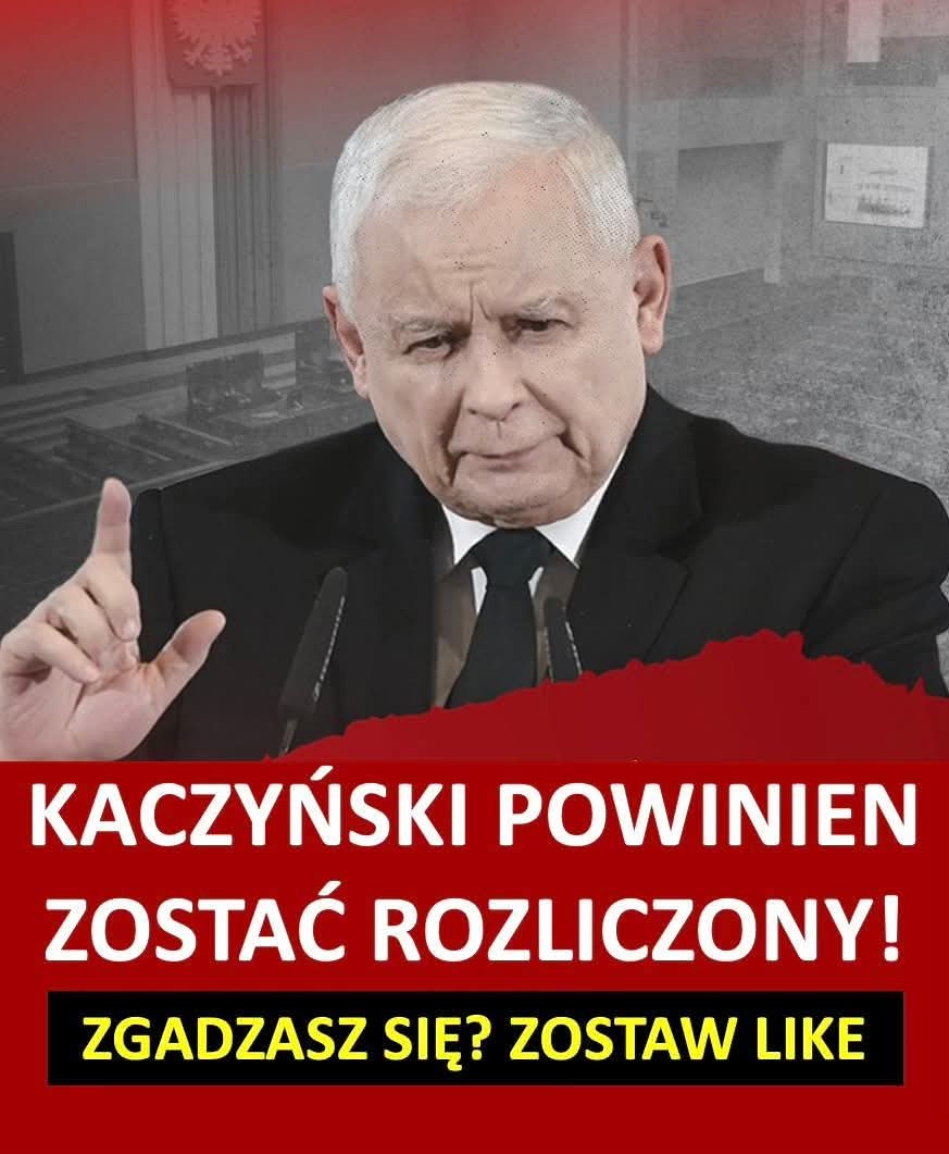 Pożar w Burdelu 🇵🇱 ♥️ tweet media