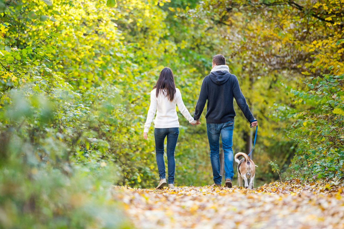 article_medium_'s tweet photo. Want better health without complicated workouts? 🚶‍♂️💚
Walking 10,000 steps daily can boost your mood, energy, heart health, and more — no gym required.
Learn the real benefits &amp; tips here 👇
 https://t.co/L35s4NycW6

#Health #Wellness #Fitness https://t.co/x8utcWgqUm