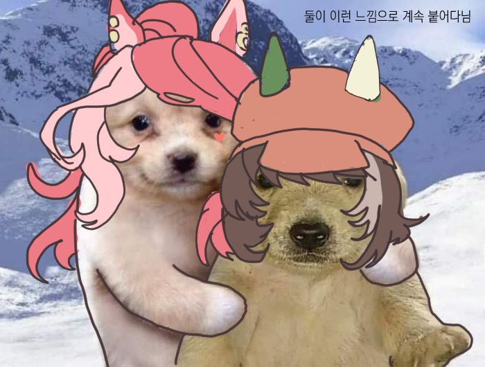 사이버토마토 tweet media