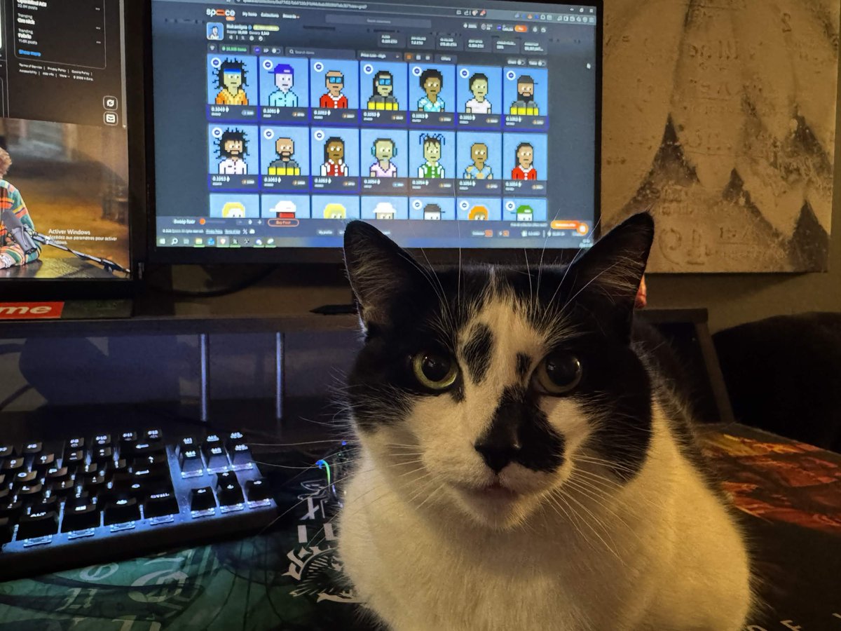 Time to GN fam see you all tomorrow 💤

Epoch 4 for Ambassadors ends in a couple hours on <a href="/spaace_io/">Spaace 🟠</a> 

The reward pool is $50K in $SPAACE for the Top 50

I will probably secure my spot for the 4th time in a row W 🙏