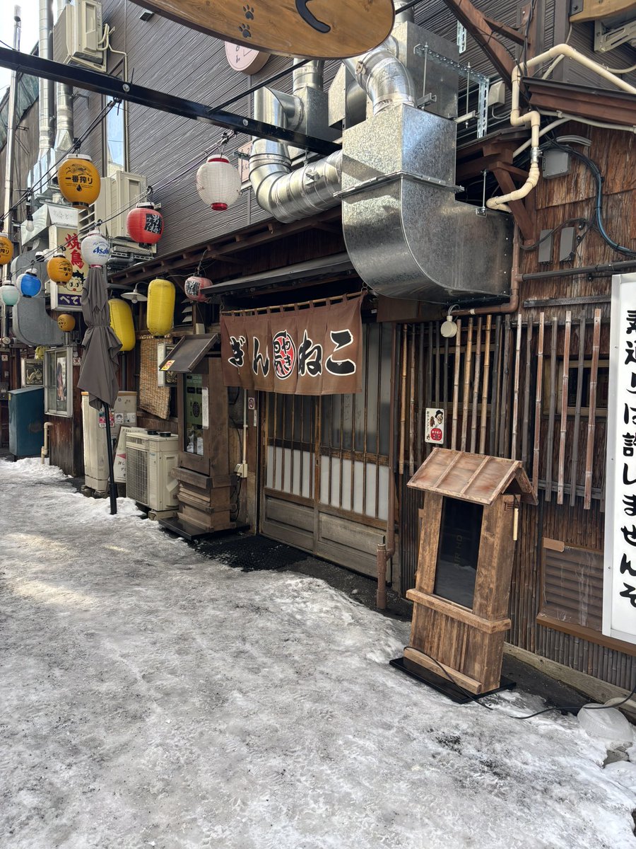 マリモ tweet media