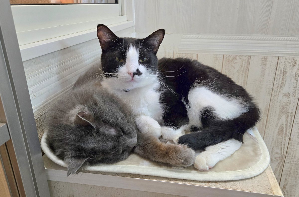 川崎】久しぶりにいい感じなタイムちゃんとぷーくん︎🤍【川崎店では