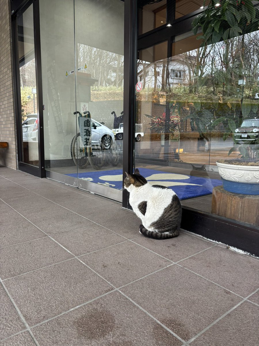 むーさん🍥 (@mufumega) / Posts / X